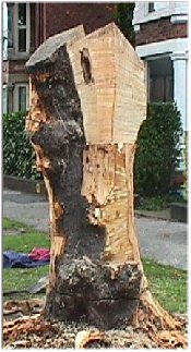 The angel on 8 September 1988