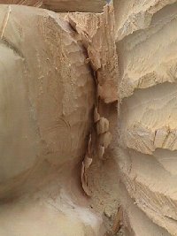 Closeup of work on head